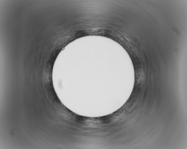 X0000110770515200907271207