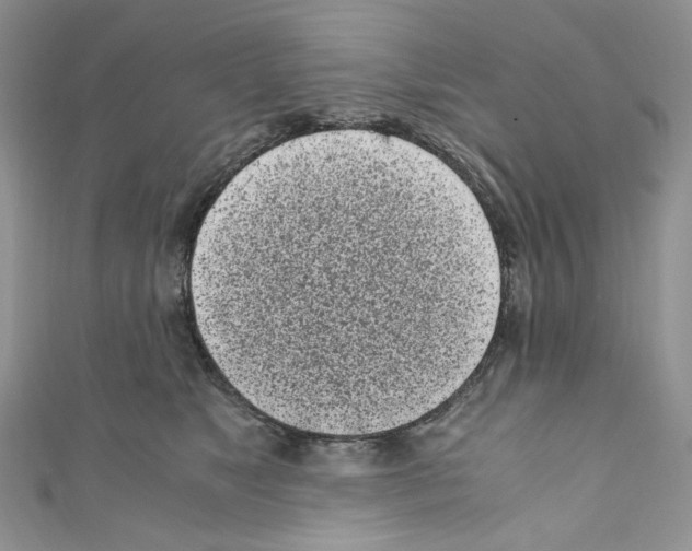 X0000110770517200907271207