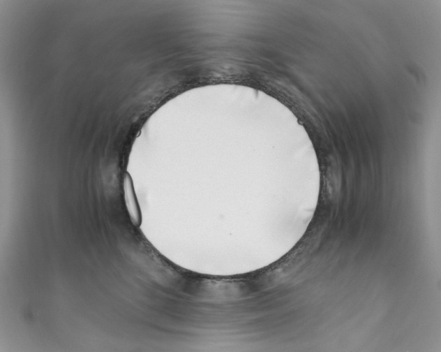 X0000110770520200907271207