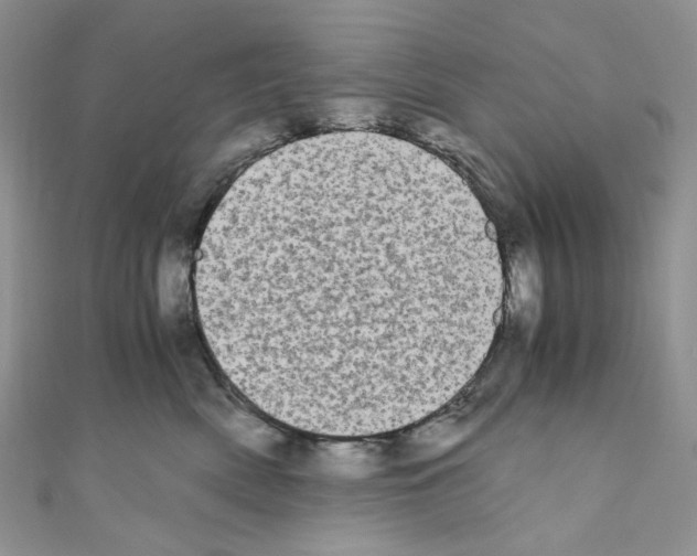 X0000110770522200907271207