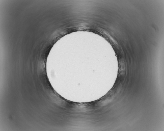 X0000110770523200907271207