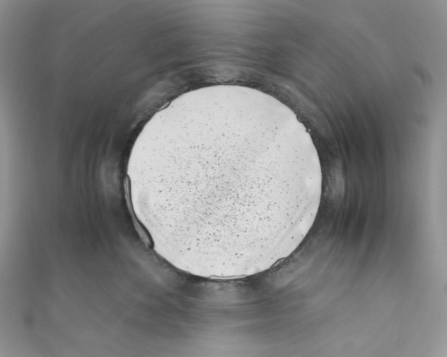 X0000110770524200907271207