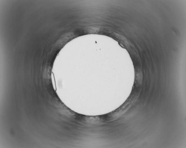 X0000110770525200907271207