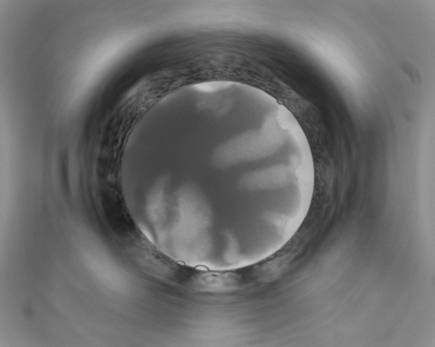 X0000110770526200907271207