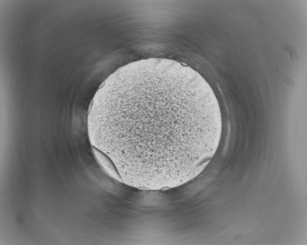 X0000110770528200907271207