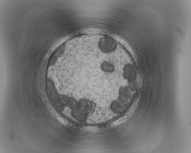 X0000110770529200907271206