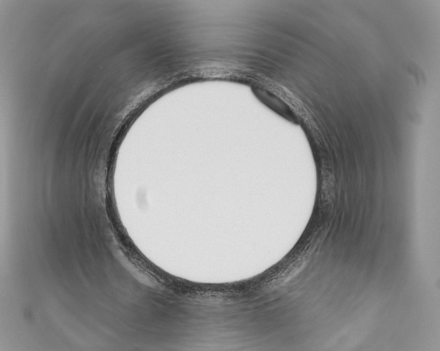 X0000110770530200907271206