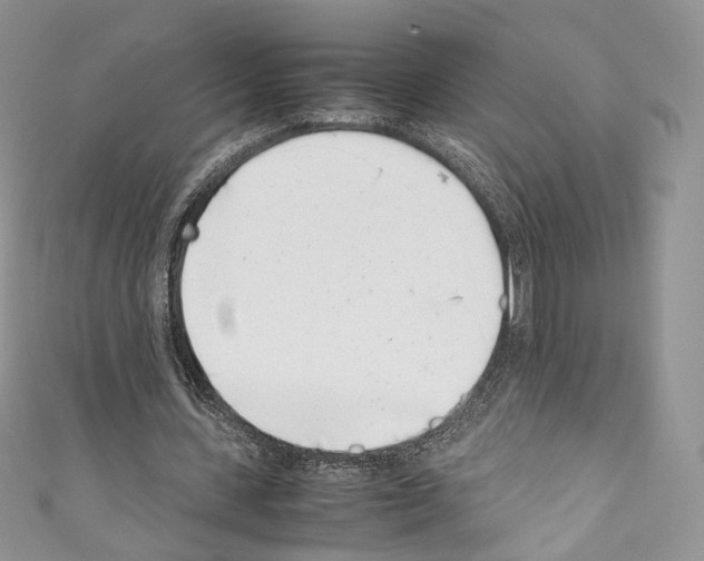 X0000110770531200907271206