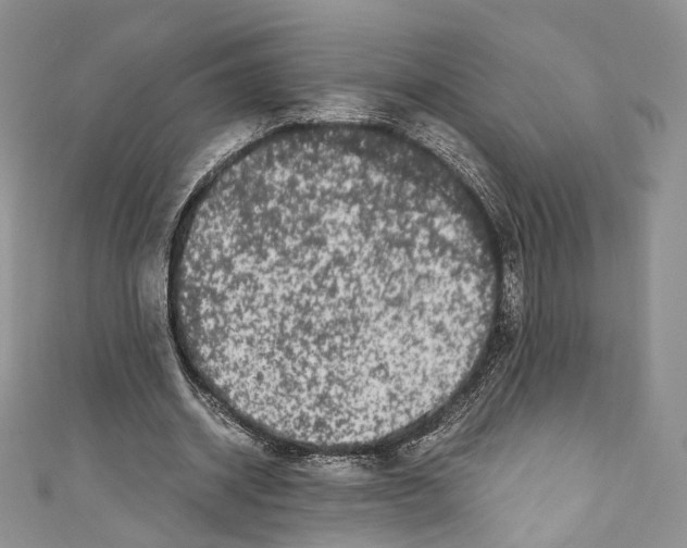 X0000110770534200907271206