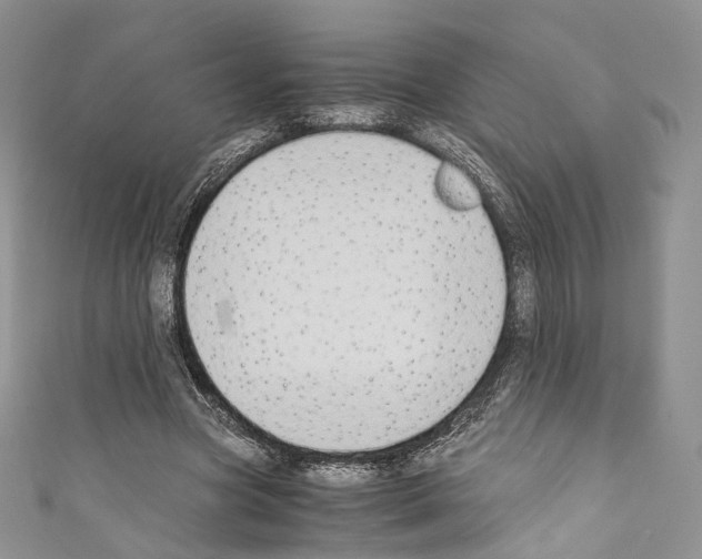 X0000110770537200907271206