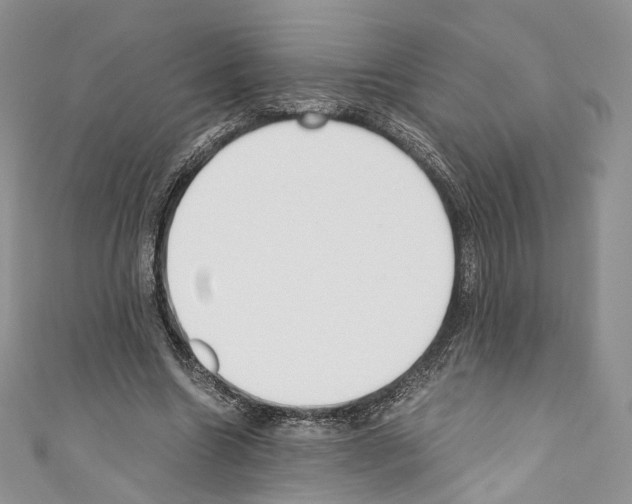 X0000110770538200907271206