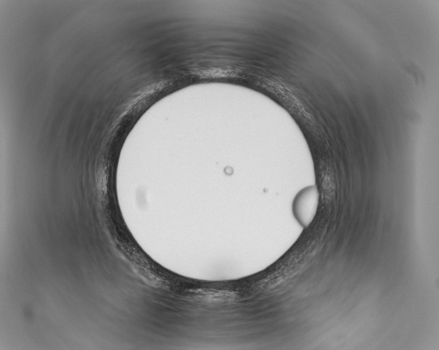 X0000110770539200907271206