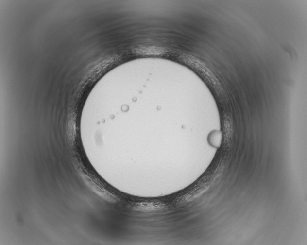 X0000110770541200907271206