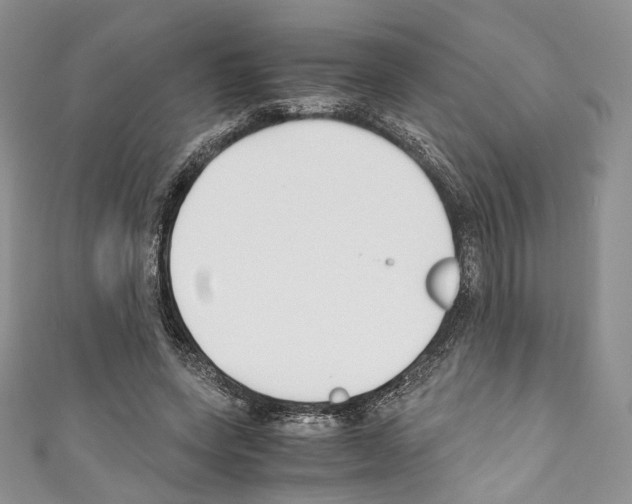 X0000110770543200907271206