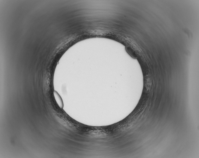 X0000110770544200907271206