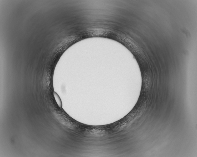 X0000110770546200907271206