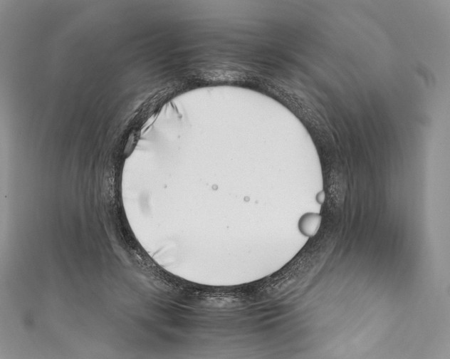 X0000110770547200907271206