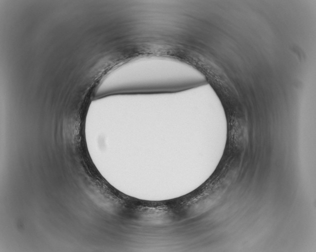 X0000110770548200907271206