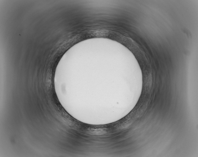 X0000110770553200907271206