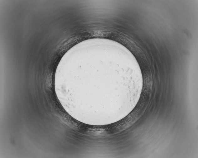 X0000110770554200907271206