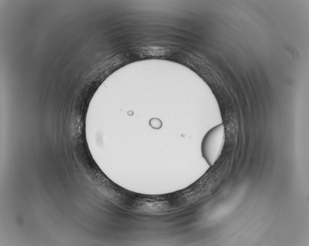 X0000110770555200907271206