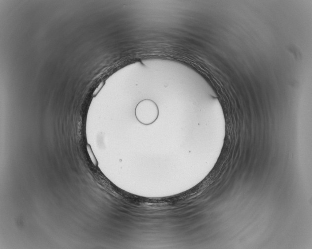 X0000110770556200907271206