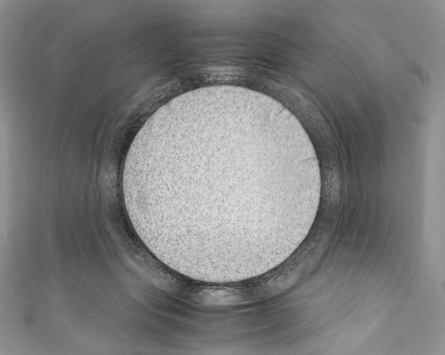 X0000110770557200907271206