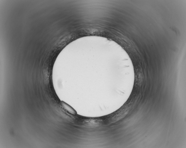 X0000110770558200907271206