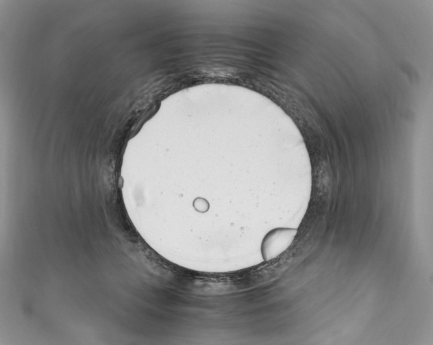 X0000110770559200907271206