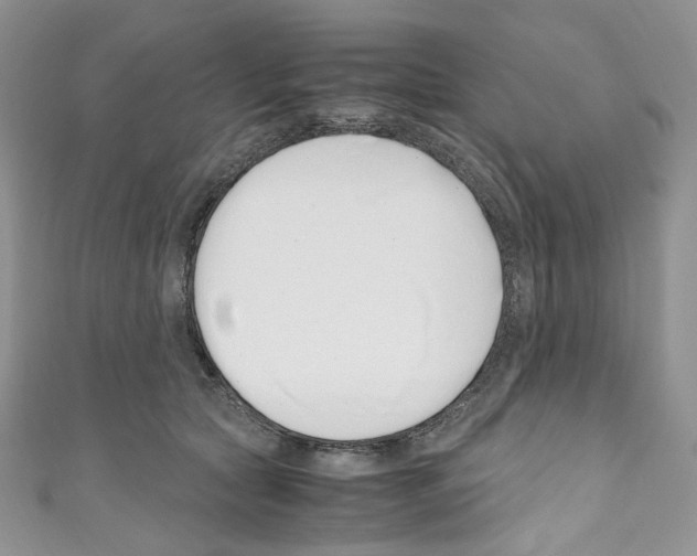 X0000110770561200907271206