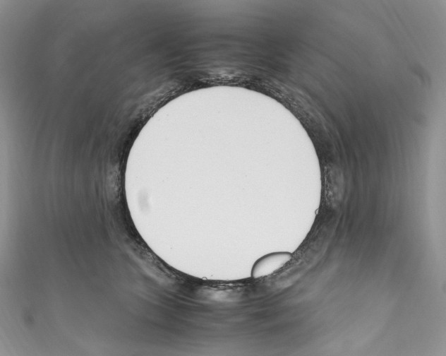 X0000110770563200907271207