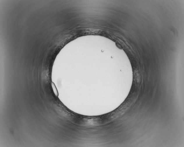 X0000110770564200907271207