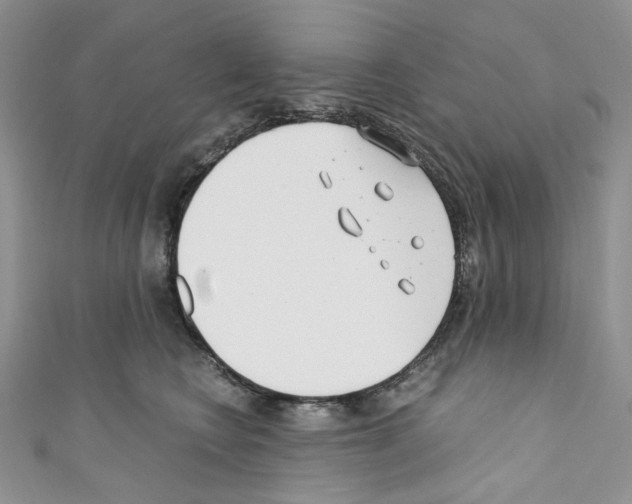 X0000110770566200907271207