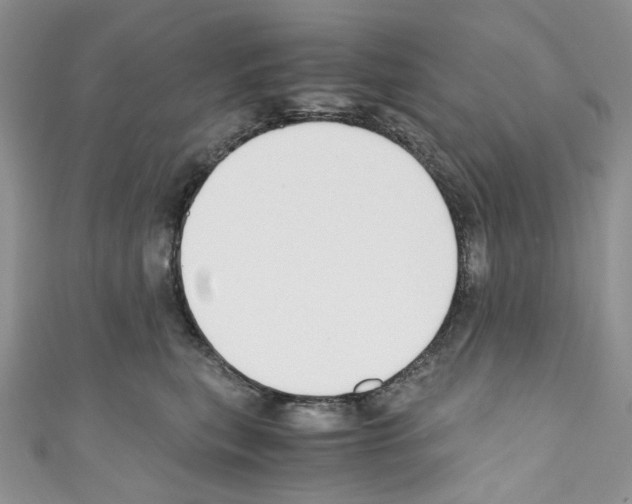 X0000110770567200907271207