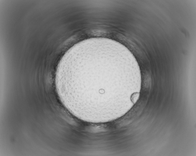 X0000110770569200907271207