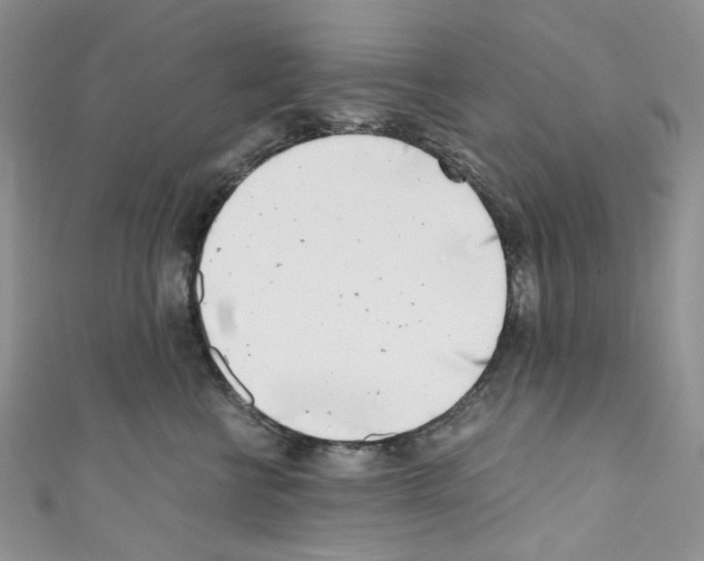 X0000110770570200907271207