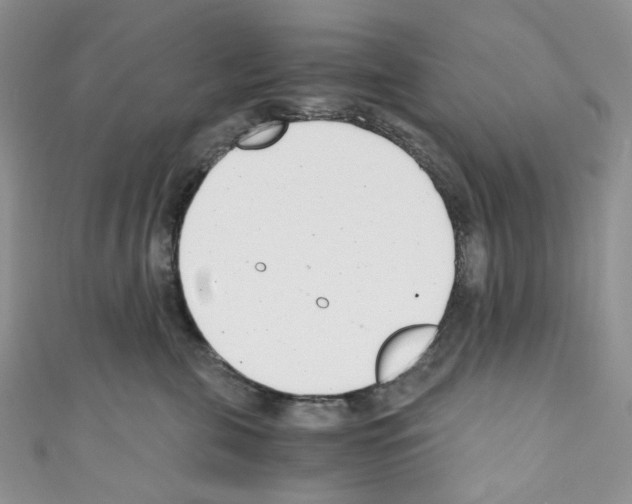 X0000110770571200907271207