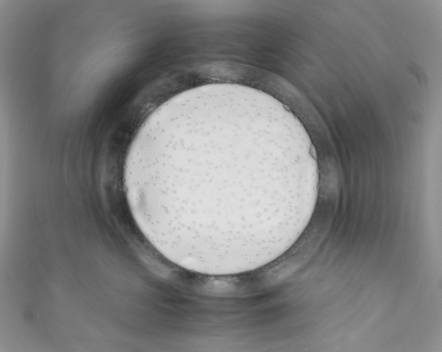 X0000110770573200907271207