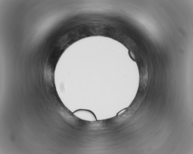 X0000110770574200907271207