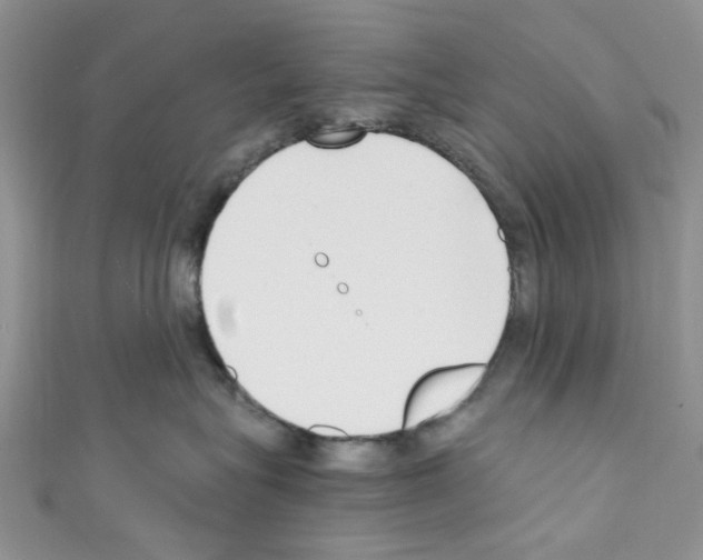 X0000110770575200907271207