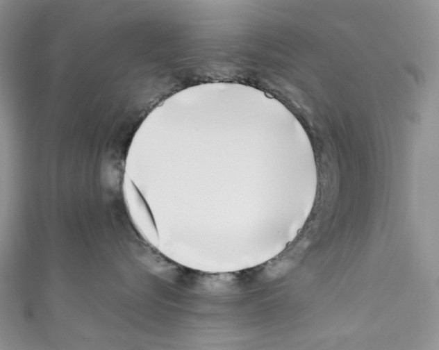 X0000110770576200907271207