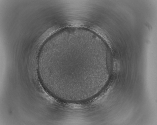 X0000110770577200907271206