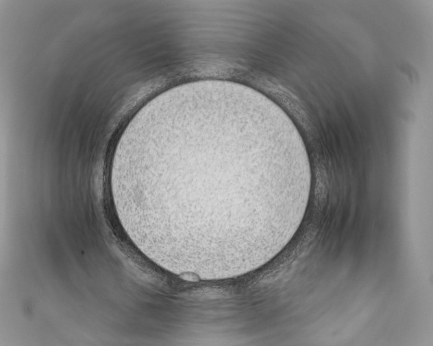 X0000110770578200907271206