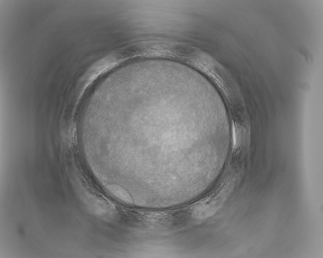 X0000110770579200907271206