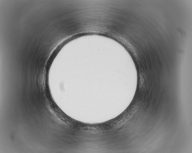 X0000110770580200907271206