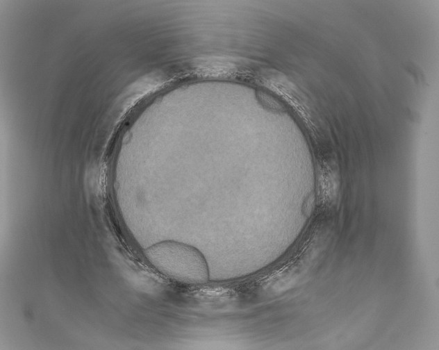 X0000110770583200907271206