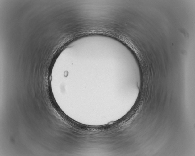 X0000110770585200907271206