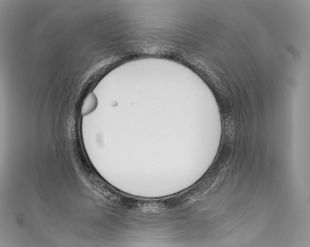 X0000110770587200907271206