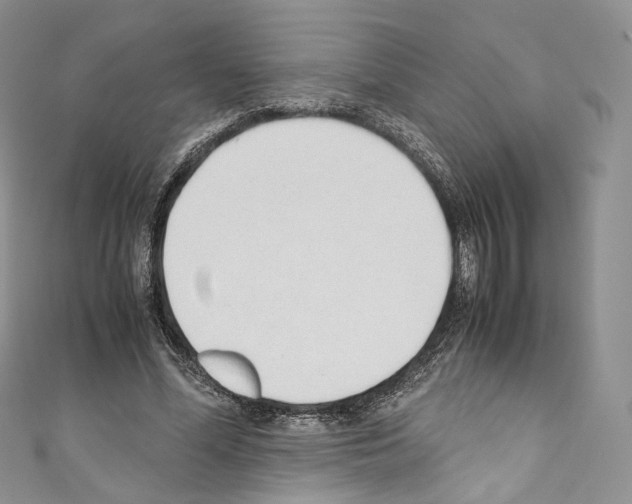 X0000110770588200907271206