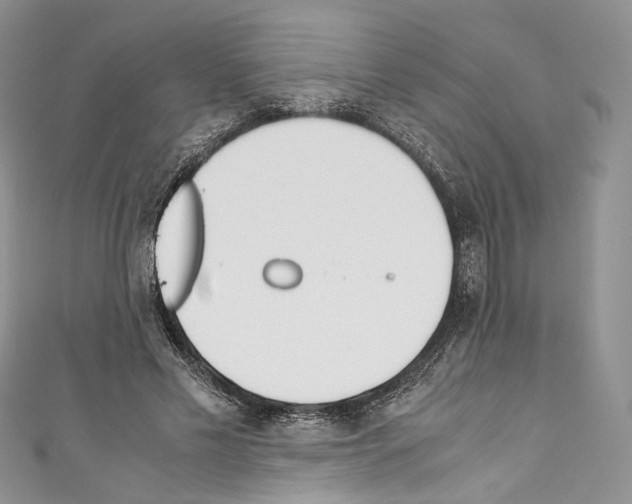 X0000110770589200907271206